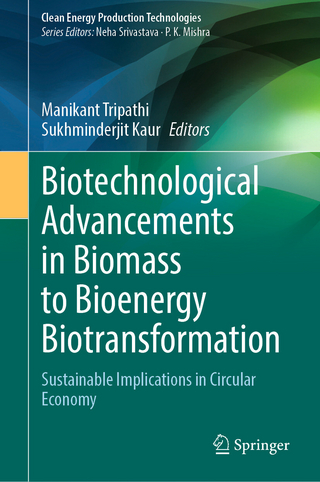 Biotechnological Advancements in Biomass to Bioenergy Biotransformation