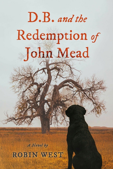 D.B. and the Redemption of John Mead -  Robin West