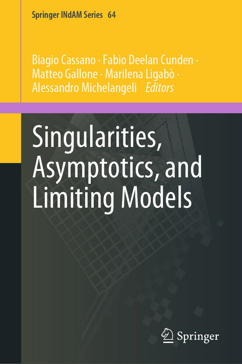 Singularities, Asymptotics, and Limiting Models - 