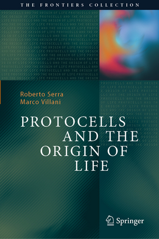 Protocells and the Origin of Life