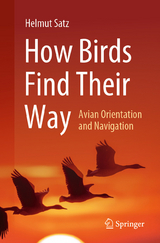 How Birds Find Their Way -  Helmut Satz