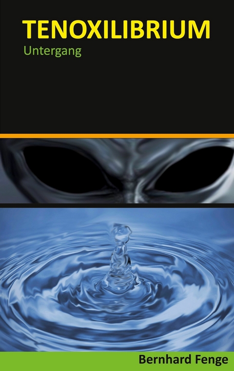 Tenoxilibrium -  Bernhard Fenge