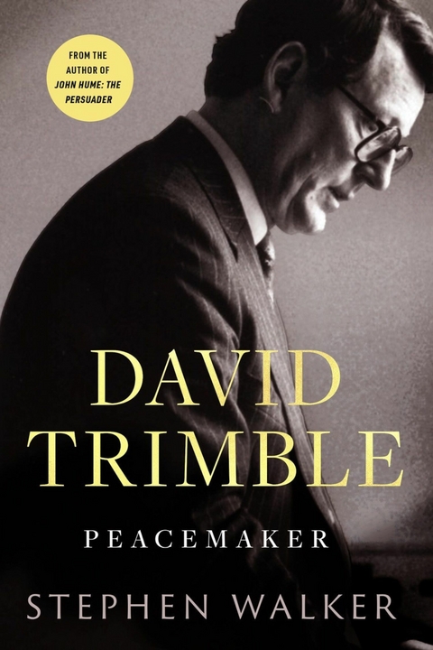 David Trimble: Peacemaker - Stephen Walker