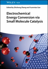 Electrochemical Energy Conversion via Small Molecule Catalysis - 