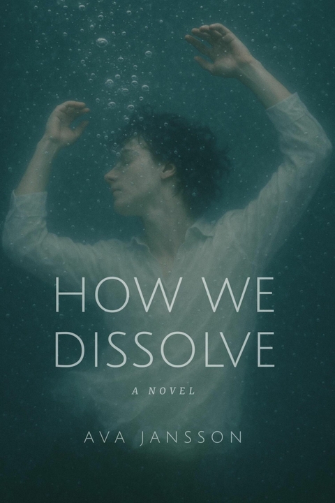 How We Dissolve - Ava Jansson