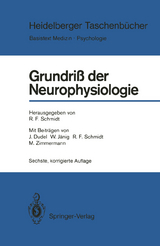 Grundri&szlig; der Neurophysiologie - 