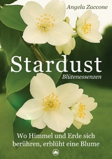 Stardust - Angela Zaccone