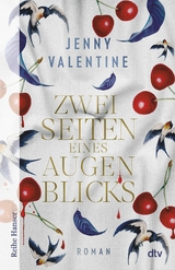 Zwei Seiten eines Augenblicks - Jenny Valentine