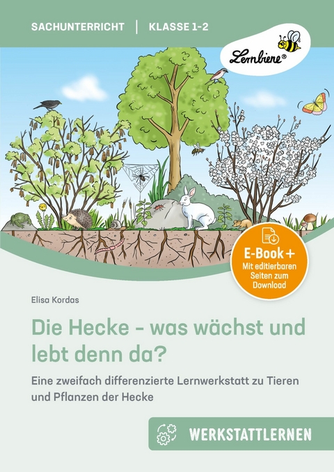 Die Hecke - was w&auml;chst und lebt denn da - Elisa Kordas