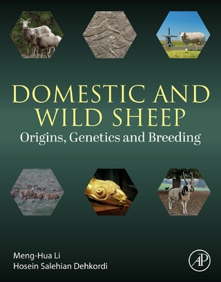 Domestic and Wild Sheep