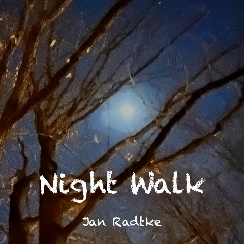 Night Walk - Jan Radtke
