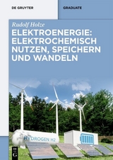 Elektroenergie: Elektrochemisch nutzen, speichern und wandeln - Rudolf Holze