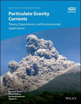 Particulate Gravity Currents