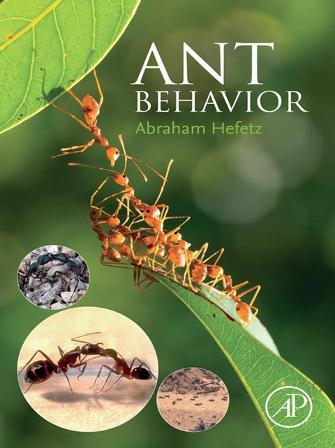 Ant Behavior -  Abraham Hefetz