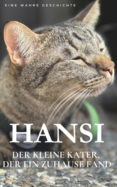 Hansi. Der kleine Kater, der ein Zuhause fand. -  Thomas Fehr