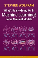 What’s Really Going On in Machine Learning? Some Minimal Models - Stephen Wolfram