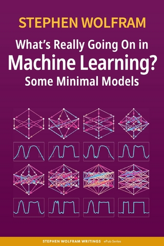 What’s Really Going On in Machine Learning? Some Minimal Models