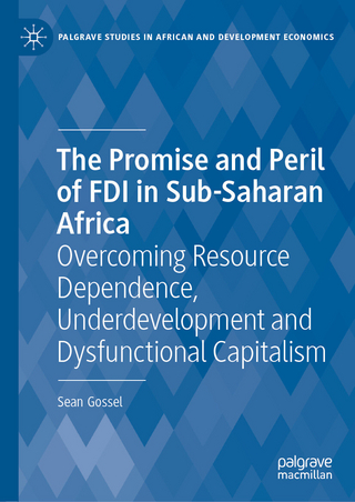 The Promise and Peril of FDI in Sub-Saharan Africa
