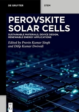 Perovskite Solar Cells - 