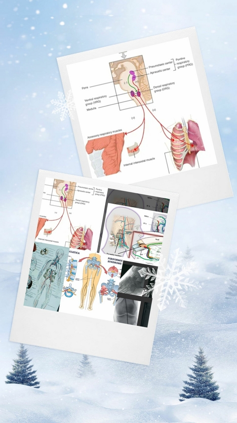 Medcrime Criminal Torturing by Gleneagles Ihh -  Premkumar viswanathan