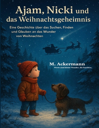 Ajam, Nicki und das Weihnachtsgeheimnis