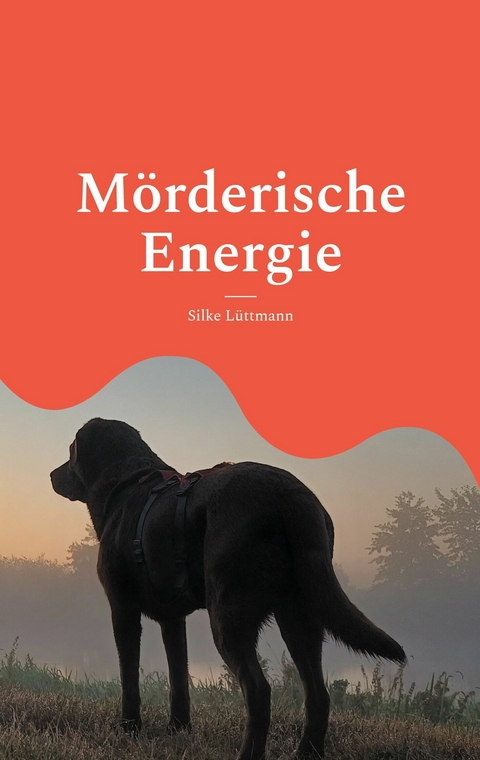 M&ouml;rderische Energie - Silke L&uuml;ttmann