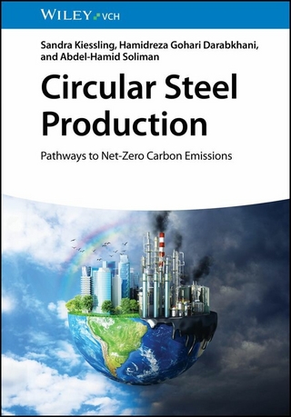 Circular Steel Production