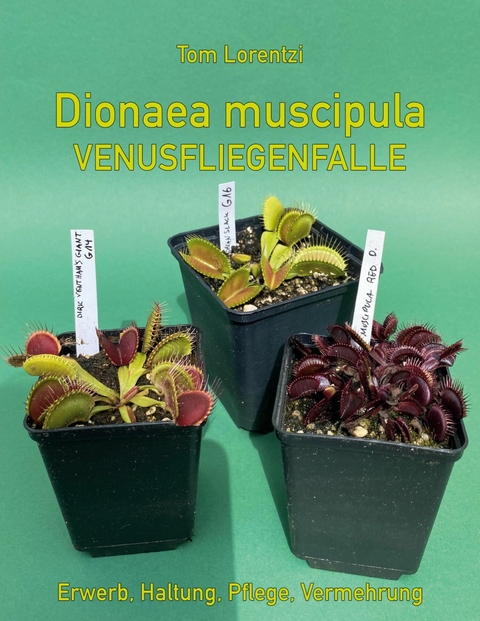 Dionaea muscipula -  Tom Lorentzi