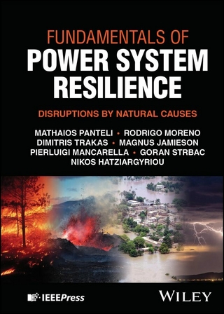 Fundamentals of Power System Resilience