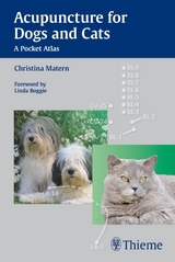 Acupuncture for Dogs and Cats - Christina Eul-Matern
