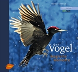 V&ouml;gel - Magische Momente - Markus Varesvuo