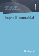 Jugendkriminalit&auml;t - Bernd Dollinger, Michael Schabdach