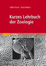 Kurzes Lehrbuch der Zoologie - Volker Storch, Ulrich Welsch