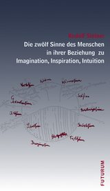 Die zwölf Sinne des Menschen in ihrer Beziehung zu Imagination, Inspiration und Intuition - Steiner, Rudolf