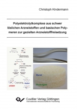 Polyelektrolytkomplexe aus schwer l&ouml;slichen Arzneistoffen und basischen Polymeren zur gezielten Arzneistofffreisetzung - Christoph Kindermann