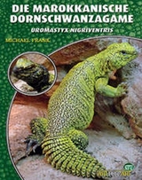 Die Marokkanische Dornschwanzagame - Michael Frank