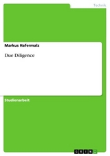 Due Diligence - Markus Hafermalz