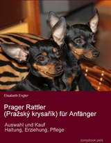 Prager Rattler (Pražsk&yacute; krysař&iacute;k) f&uuml;r Anf&auml;nger - Elisabeth Engler