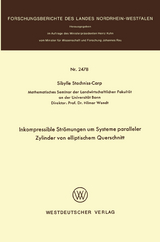 Inkompressible Strömungen um Systeme paralleler Zylinder von elliptischem Querschnitt - Sibylle Stachniss-Carp