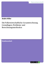 Die Volkswirtschaftliche Gesamtrechnung. Grundlagen, Probleme und Berechnungsmethoden -  Andre Hiller