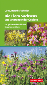 Die Flora Sachsens und angrenzender Gebiete - 