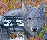 Auge in Auge mit dem Wolf - Bloch, Günther; Dettling, Peter