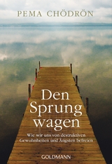 Den Sprung wagen - Pema Ch&ouml;dr&ouml;n