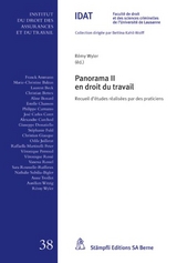 Panorama II en droit du travail - R&eacute;my Wyler
