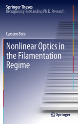 Nonlinear Optics in the Filamentation Regime - Carsten Br&eacute;e