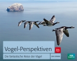 Vogel-Perspektiven - John Downer