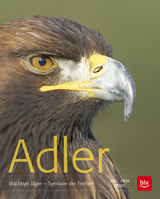 Adler - Einhard Bezzel