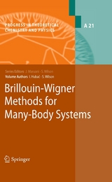 Brillouin-Wigner Methods for Many-Body Systems -  Stephen Wilson,  Ivan Hubac