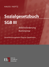 Sozialgesetzbuch (SGB). Kommentar / Sozialgesetzbuch (SGB) III: Arbeitsf&ouml;rderung - Einzelbezug - Andrea Bindig, Renate Daumann, Dietrich Hengelhaupt, Martin K&uuml;hl, Hans Arno Petzold, Olaf Rademacker, Bernhard Scholz, Jutta Siefert, Hinnerk Timme, Leandro Valgolio, Thomas Voelzke