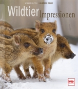 Wildtier-Impressionen - Willi Rolfes, Andreas David